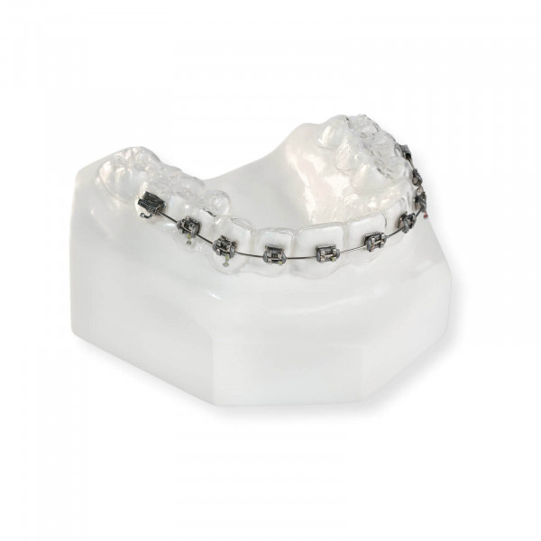 Tiefziehschiene mit Brackets