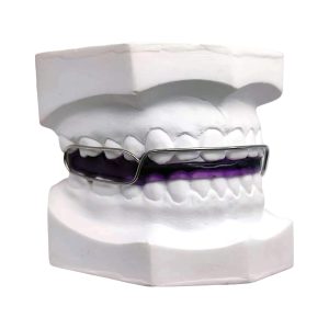 Bionator